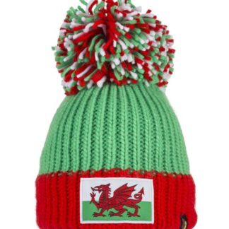 Big Bobble Hats Caerphilly Does It